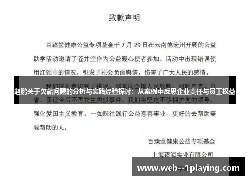 赵鹏关于欠薪问题的分析与实践经验探讨：从案例中反思企业责任与员工权益