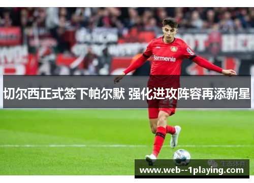 切尔西正式签下帕尔默 强化进攻阵容再添新星
